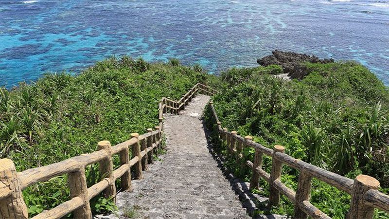 A stepped path descending through greenery and down to the blue sea visible in the background. 