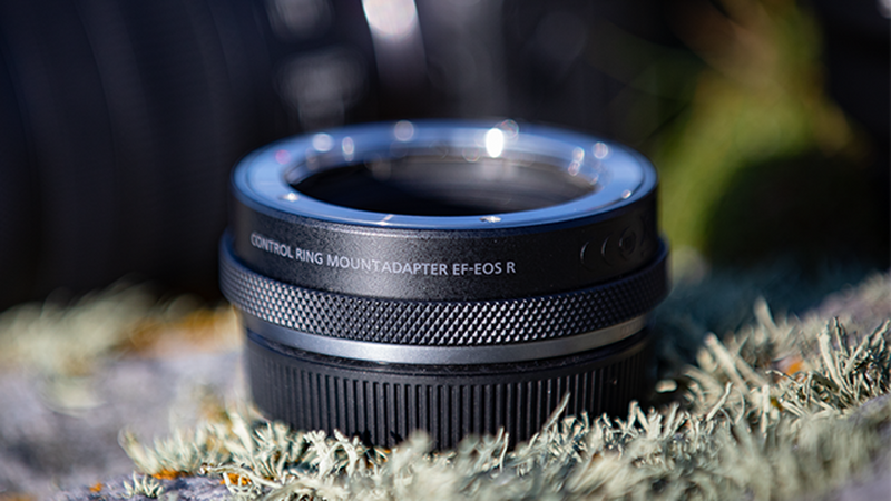 Mount Adapter EF-EOS R on a patch of grass.
