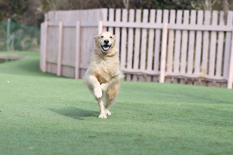 Capturing split-second moments