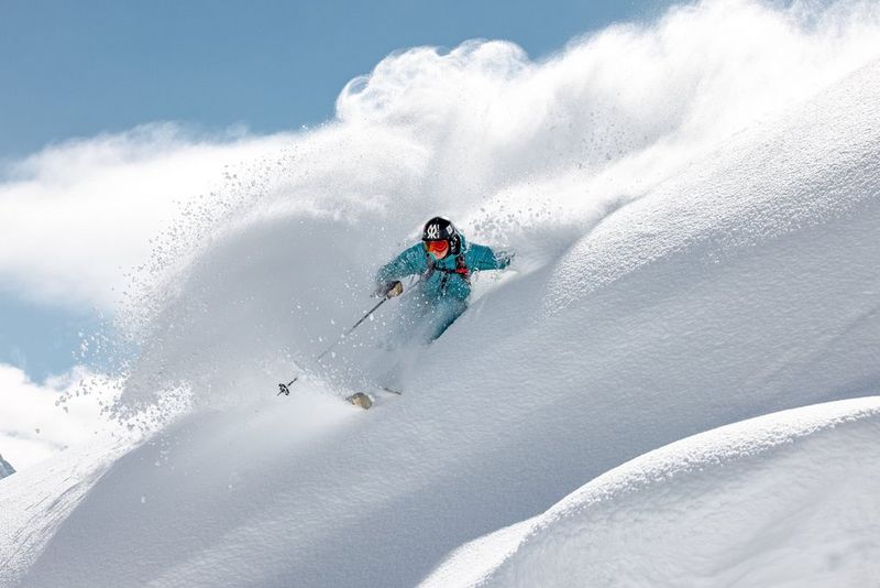 Explore the exceptional