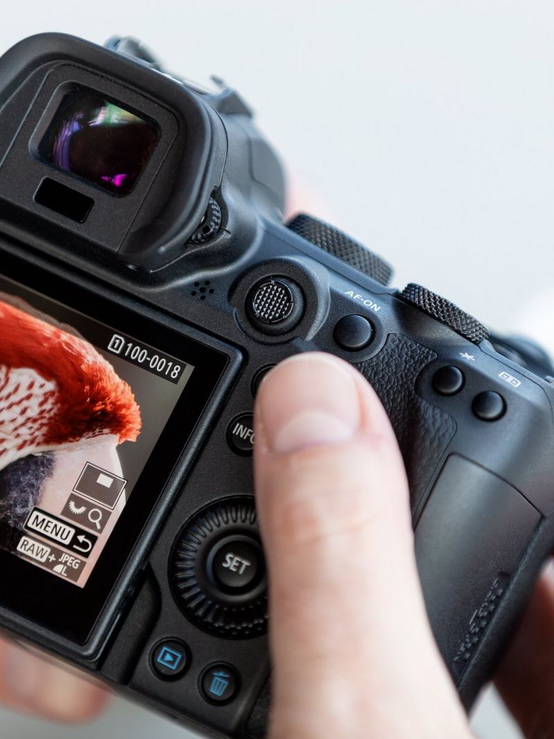 A close-up cropped view of Canon EOS R6