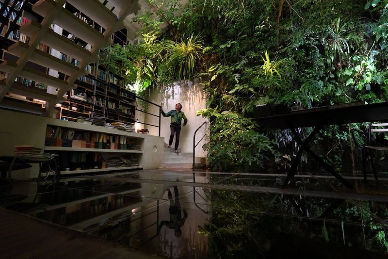 A man descends a few steps in a room made to look like an indoor rainforest, with his reflection visible in a pool of water, shot on a Canon EOS R8.