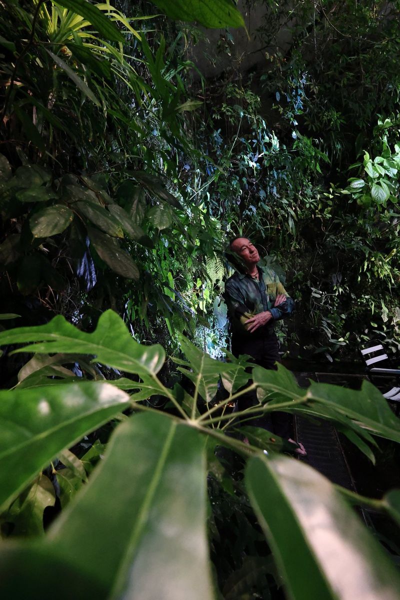 A photo taken with a Canon EOS R8 from a high vantage point of a man in a floral shirt standing surrounded by plants.
