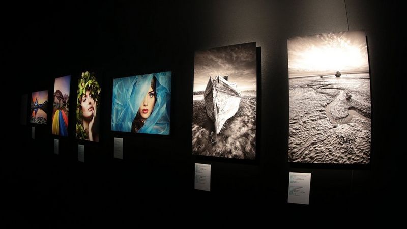 Several large format images hanging on a dark wall.