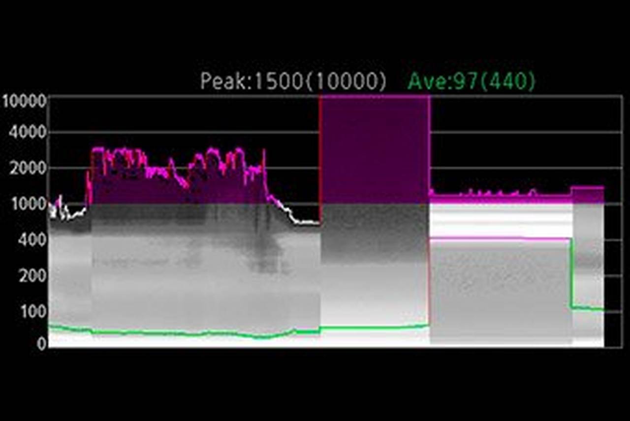 Frame luminance monitor