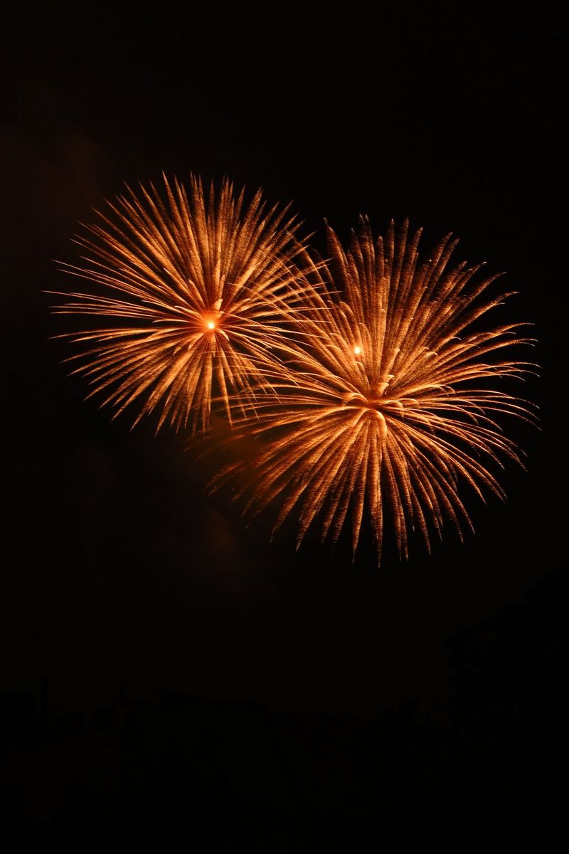 Two orange fireworks burst in the dark sky. 