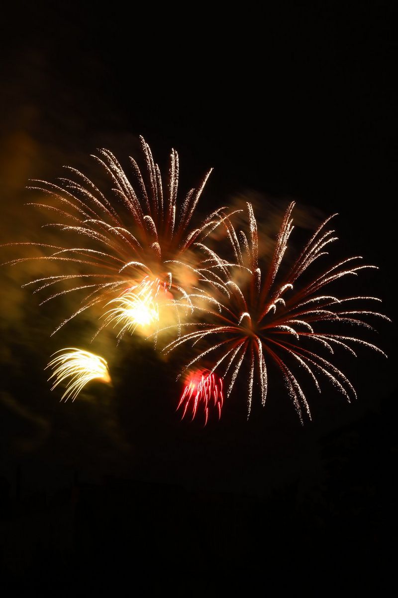 Red and gold fireworks light up a dark sky. 
