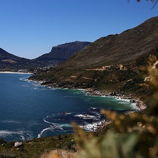 A coastal landscape shows deep blue sea meeting tree-lined cliffs.
