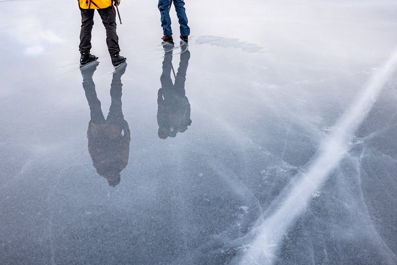 The legs of two skaters, their bodies just out of frame. The pair are reflected in the ice which is patterned with their skate marks.