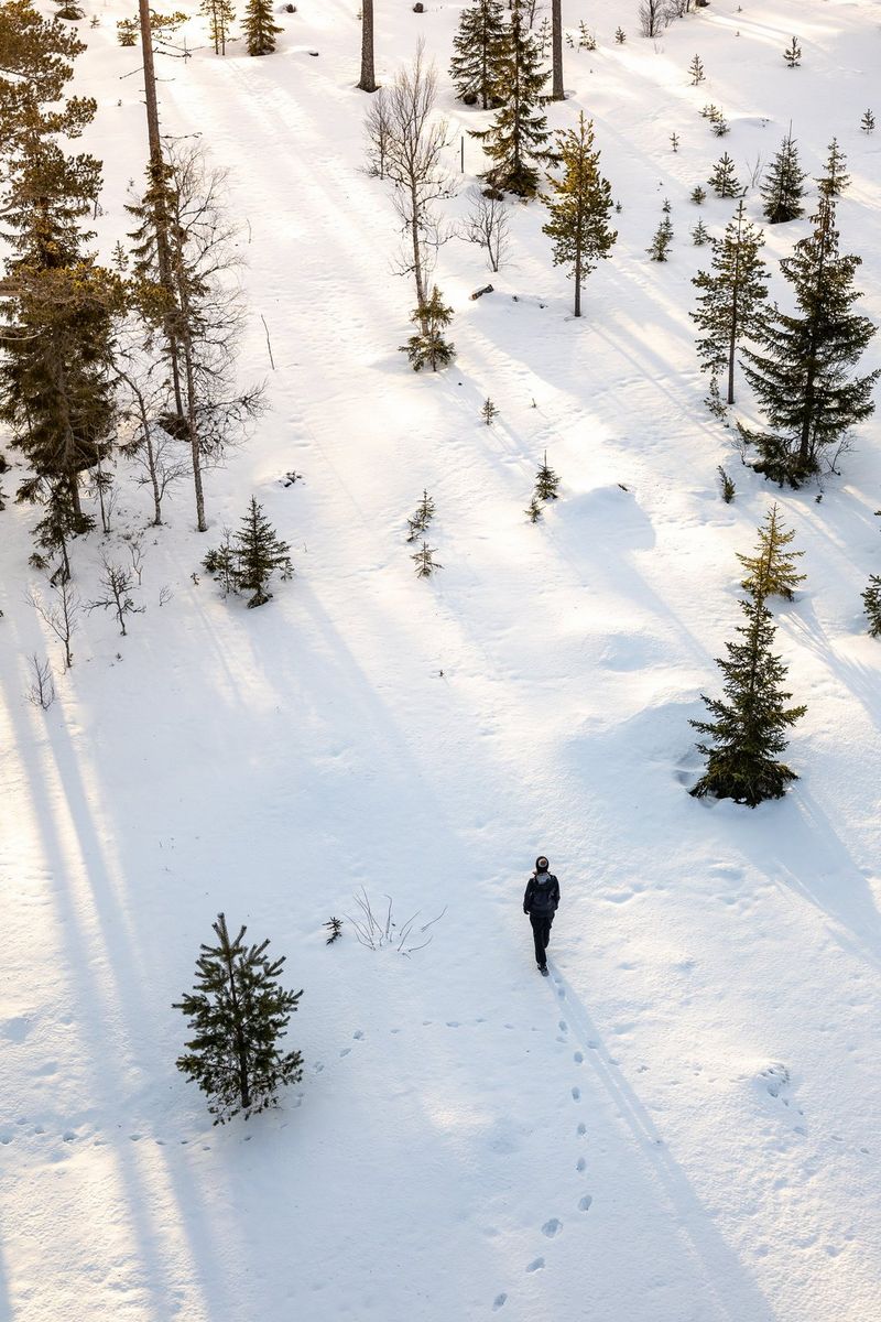 A photo taken with a drone of a man walking through conifers in a snow-covered landscape. A trail of footsteps in the snow can be seen behind him.