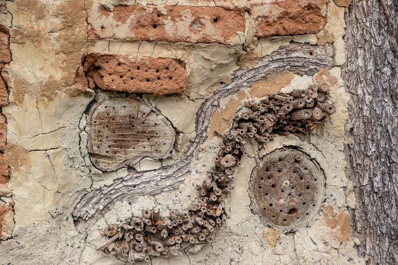 A bee hotel created by drilling holes into sticks and wood, captured with a Canon EF 24-105mm f/4L IS II USM lens by wildlife photojournalist Christian Ziegler.