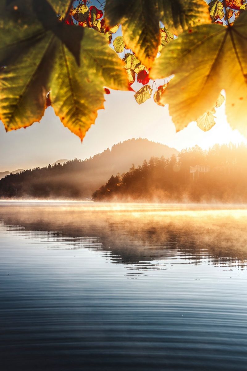 Hills beside Lake Bled in Slovenia shrouded in mist in the sunrise. The foreground leaves and distant hills are more yellow, and the water of the lake is more blue.