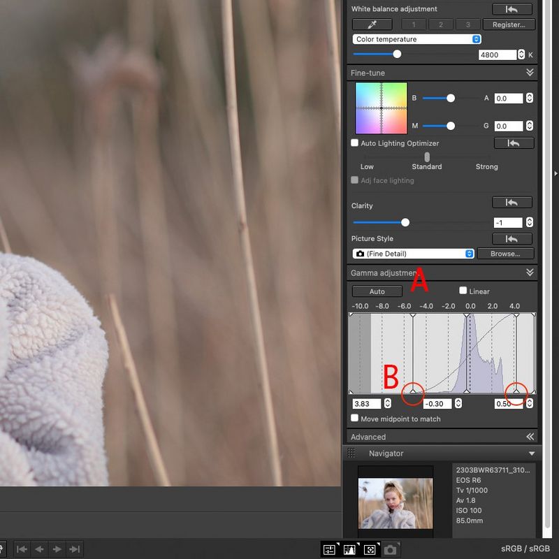 A screenshot of Canon DPP software showing the histogram and other options in the Gamma Adjustment tool panel.