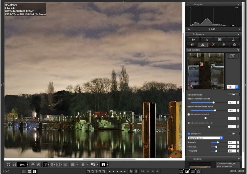 A screenshot of Canon's DPP software showing the same photo of a riverside at dusk with the image noise greatly reduced.