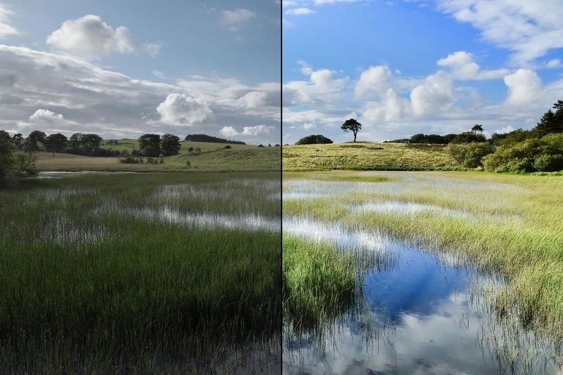 A before and after shot of a field of long grass, dark and unedited on the left, showing the lighter version on the left, edited in DPP.