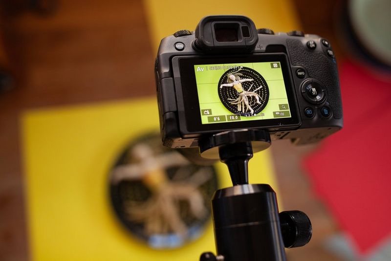 The back of a Canon camera attached to a tripod shooting from above. 