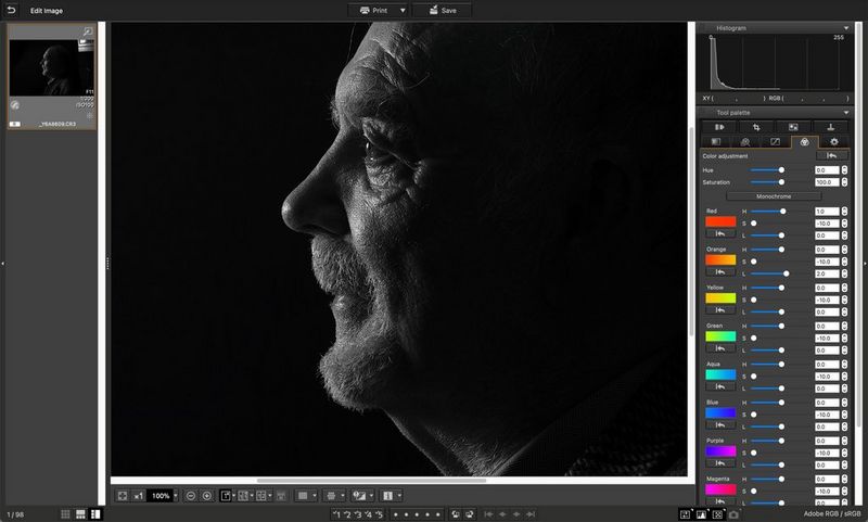 A picture of a man's face in profile being edited in Canon's Digital Photo Professional with the colour adjustment tools.