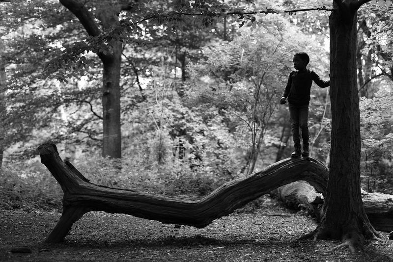 A black and white shot in a woodland setting showing a child in silhouette standing on the branch of a fallen tree.