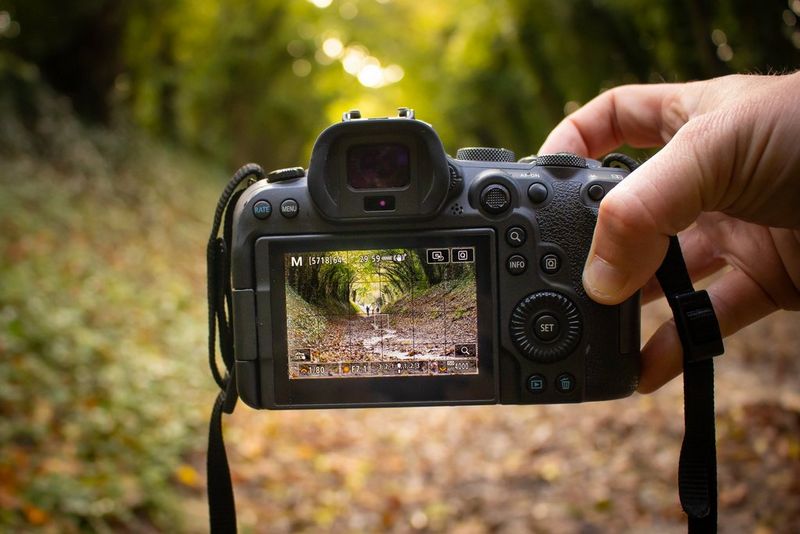 A hand holds a Canon camera out in front of a woodland path, the track ahead showing on the viewscreen.