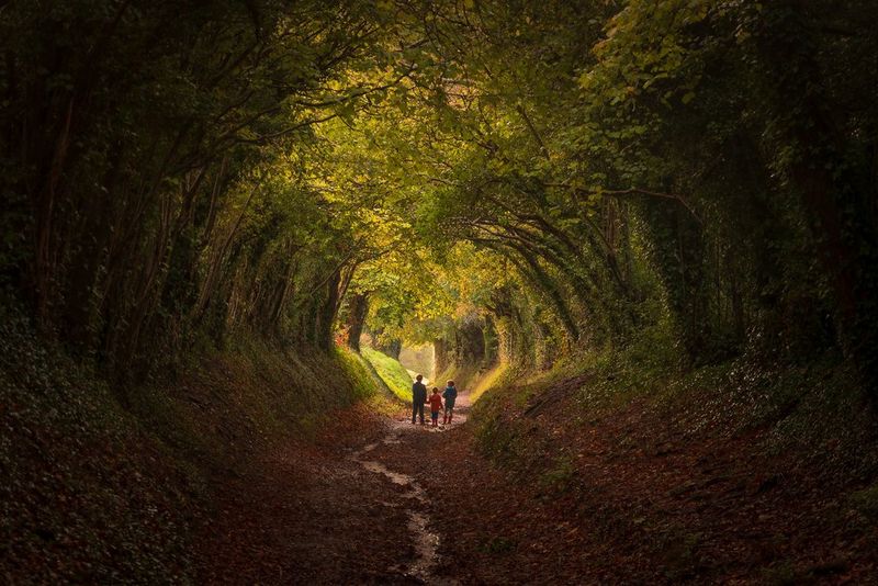 A woodland path with trees curving over from each side, and three figures standing in sunlight in the distance, taken on a Canon EOS R6.