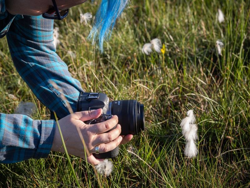 Hands holding a Canon EOS R5 with a Canon RF 24mm F1.8 MACRO IS STM lens in front of a cotton grass flower.