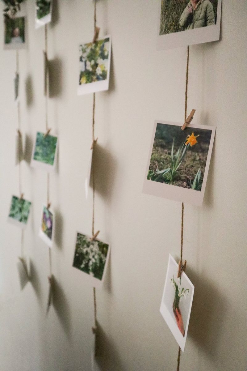 A close-up of several strands of jute with small printed photographs pegged to them against a white wall.
