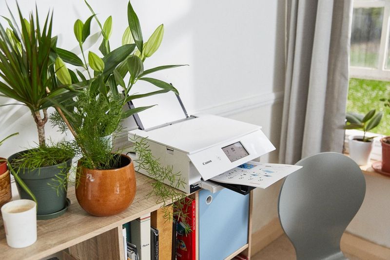 A Canon printer on a bookshelf next to some houseplants on it, printing out a set of instructions.