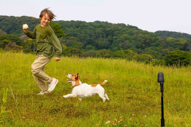 A small dog chasing a boy holding a ball. A PowerShot PX camera is mounted on a tripod in the foreground. 