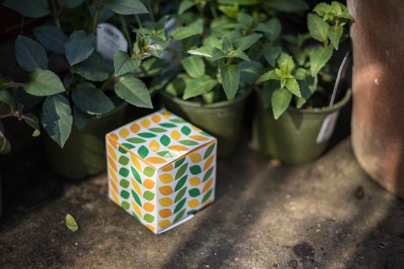 A papercraft box with a leaf design next to some plant pots in a garden.