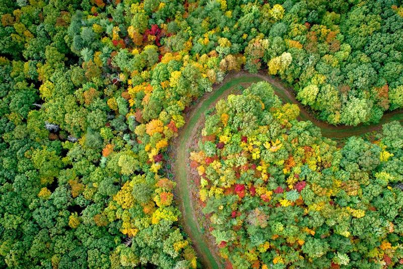 Image representing reducing environmental impact