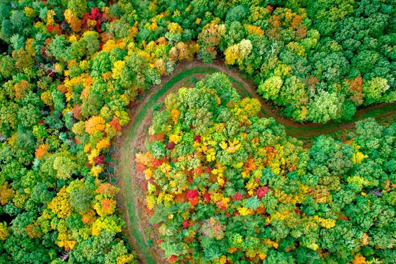 Contributing to a low carbon society