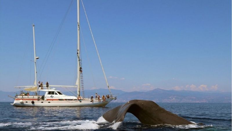 IT-Press-Release-Susti-Page-16x9