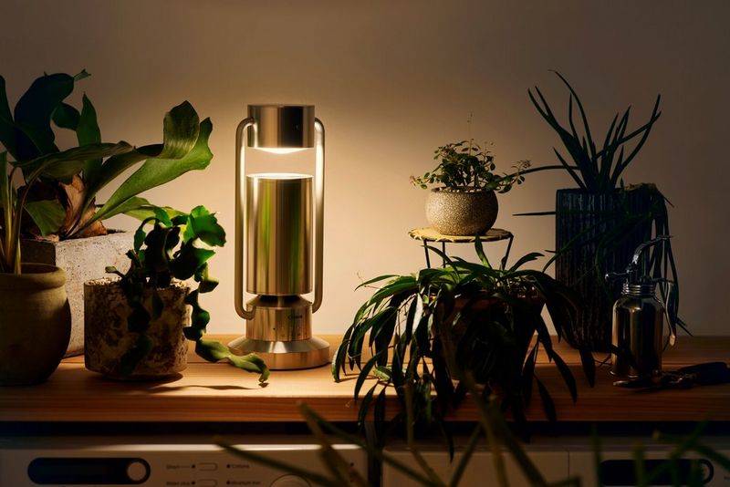 A Canon Light & Speaker ML-A sits on a shelf, illuminating a set of houseplants in a warm glow.