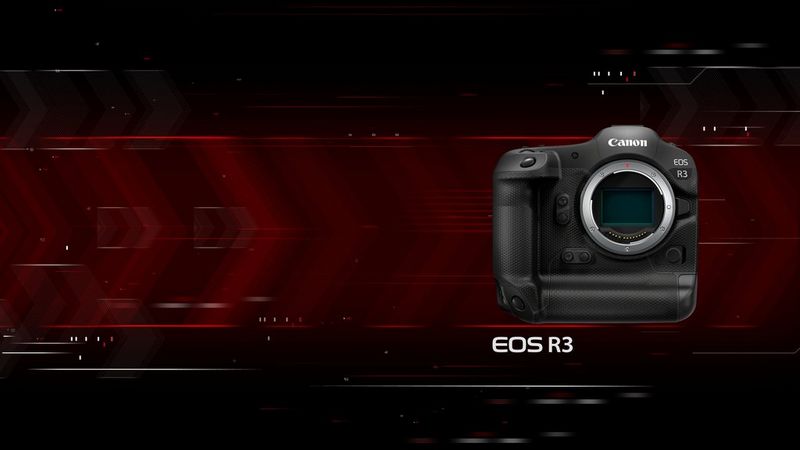 Canon Eos R3 Professional Mirrorless Cameras Canon Uk
