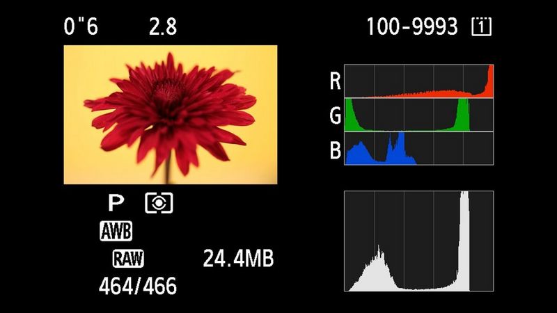 A shot of a red flower on a camera's LCD display, with RGB channel histograms in addition to the luminance histogram.