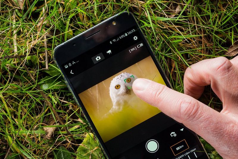 A person's finger taps on a photo of an owl in the Canon Camera Connect app on a smartphone screen. 