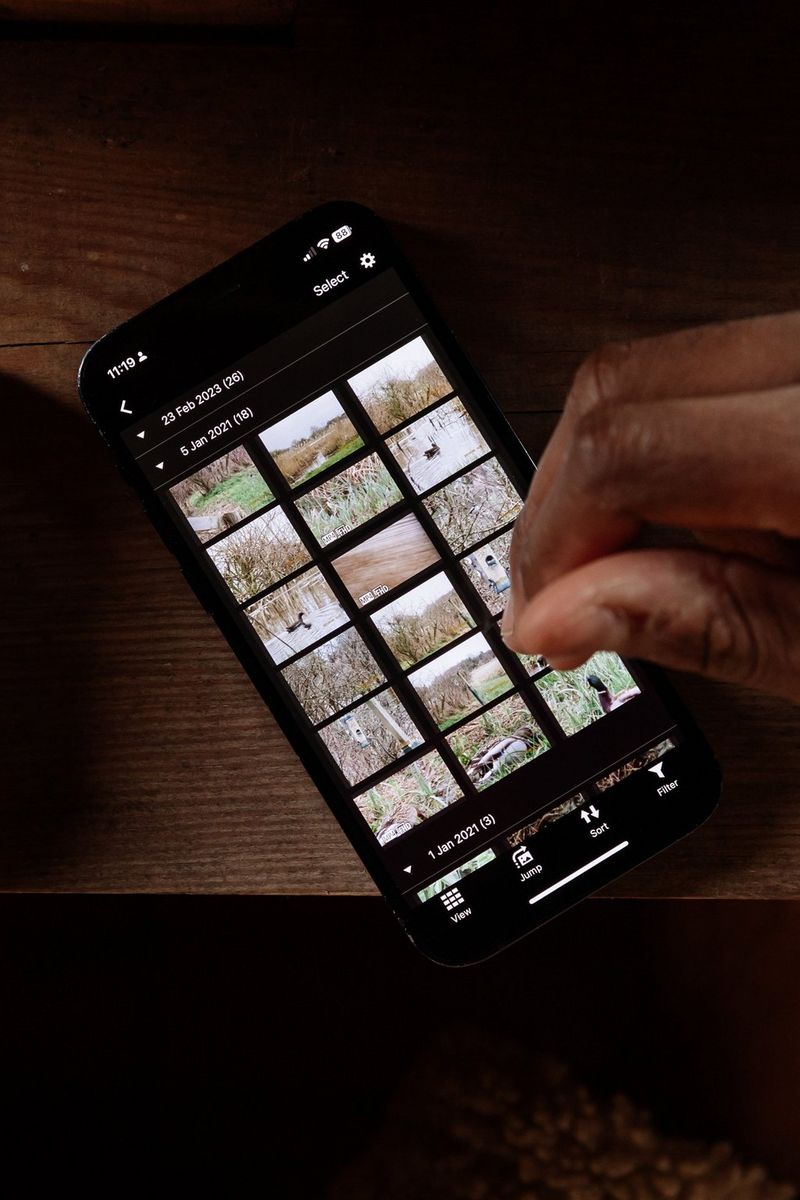 A hand uses the Canon Camera Connect app on a smartphone to view and share wildlife images taken on a Canon camera.