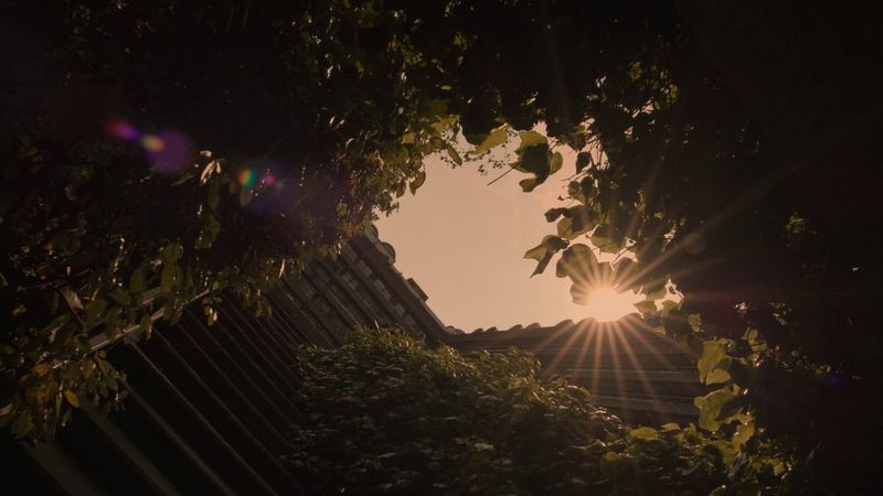 CN-E14-35mm T1.7 L S - SP_CN-E31.5-95mm T1.7 L S - SP_Sample_Film_Diana-Olifirova_PRORES_SDR_CLEAN.mov