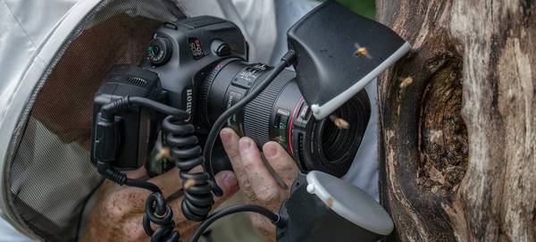 Ingo Arndt, in protective clothing, uses a Canon EOS 5DS R and Canon Macro Twin Lite MT-24EX flash to photograph honeybees at the entrance to their nest.