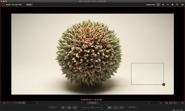 A screenshot of the Dragonframe stop motion animation software demonstrating focus peaking.