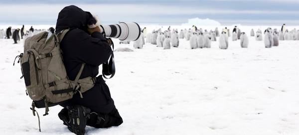 Lucia Griggi with her Canon kit in front of a group of penguin chicks. 