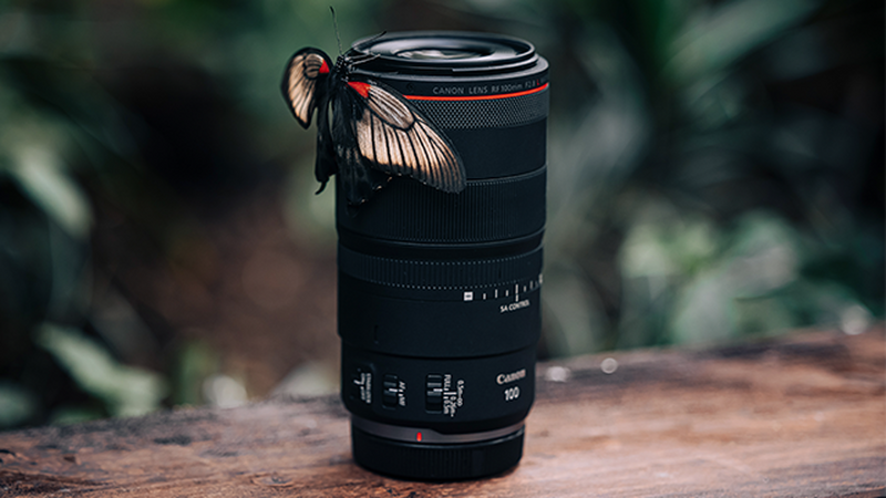 Lens RF100mm F2.8 L MACRO IS USM standing on the wooden table with a butterfly sitting on it.