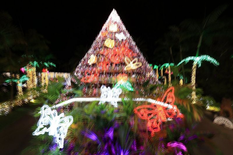 A display of coloured lights and illuminated plants photographed at night using a Canon EOS R6, blurred by camera shake.