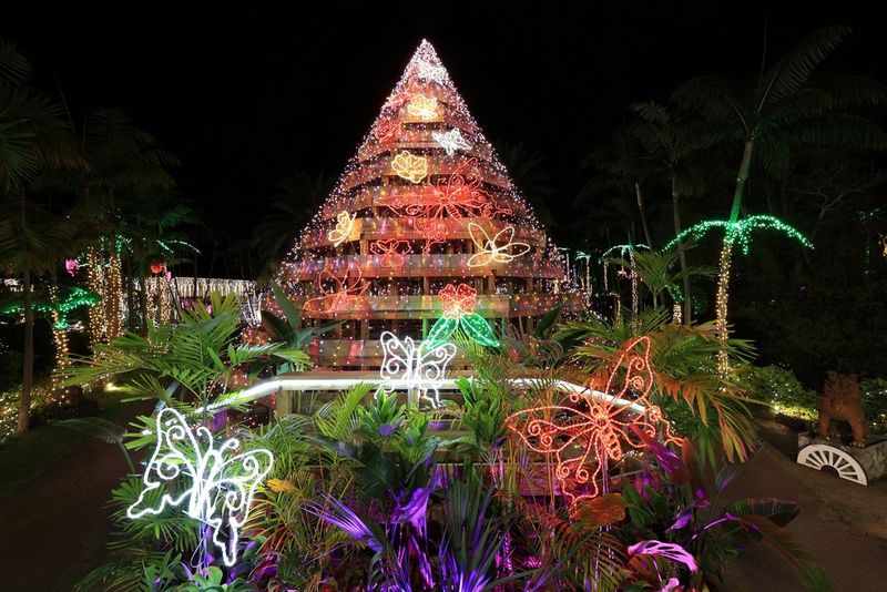 The same display of lights and illuminated plants photographed at night using a Canon EOS R6, much sharper thanks to image stabilisation.