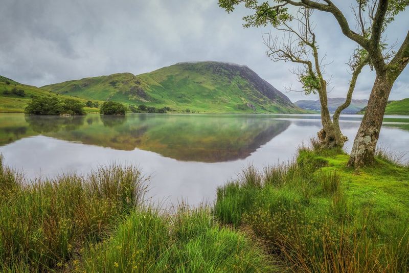 A lake with a tree in the foreground and the mountains in the background reflected on the water's surface.