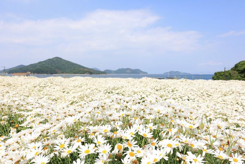 RF24mm F1.8 MACRO IS STM