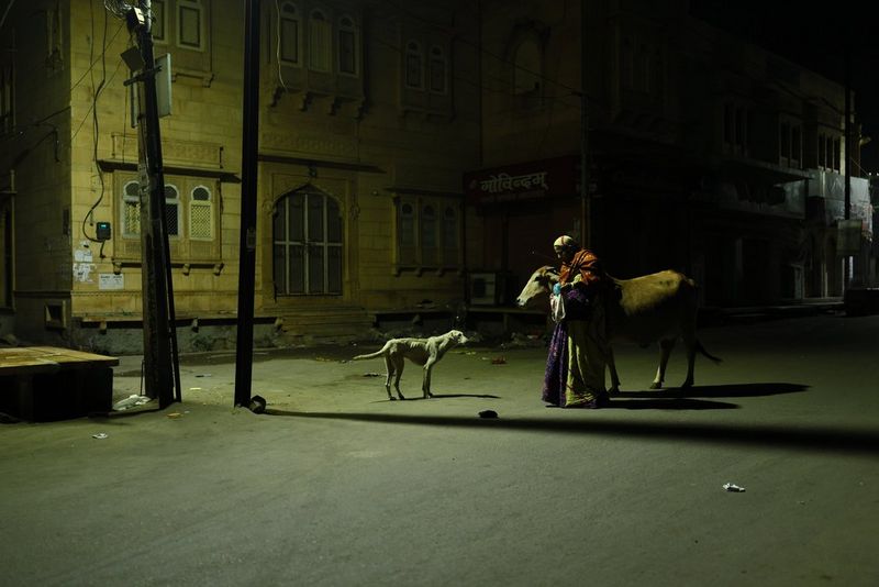A person stands with a cow and a dog on a dimly lit street at night, captured by Noriaki Fukushima using a Canon RF 35mm F1.4L VCM RF lens, highlighting the lens's low-light performance and detail resolution.