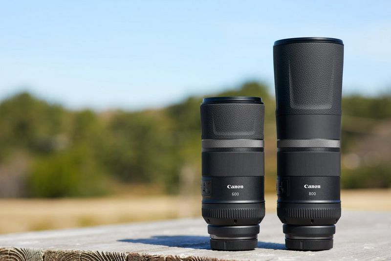 RF 600mm and 800mm F11 IS USM lenses