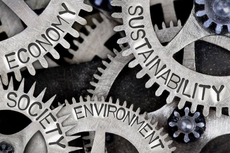 Gears with the words “economy, sustainability, environment and society”