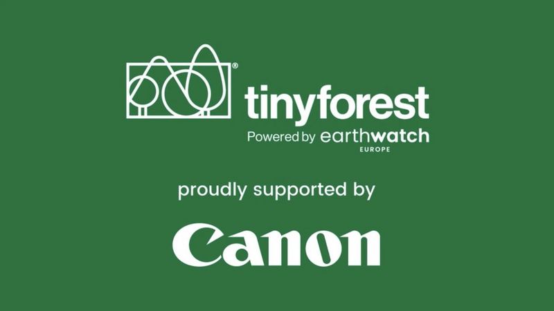 TF Animation for Canon.mp4